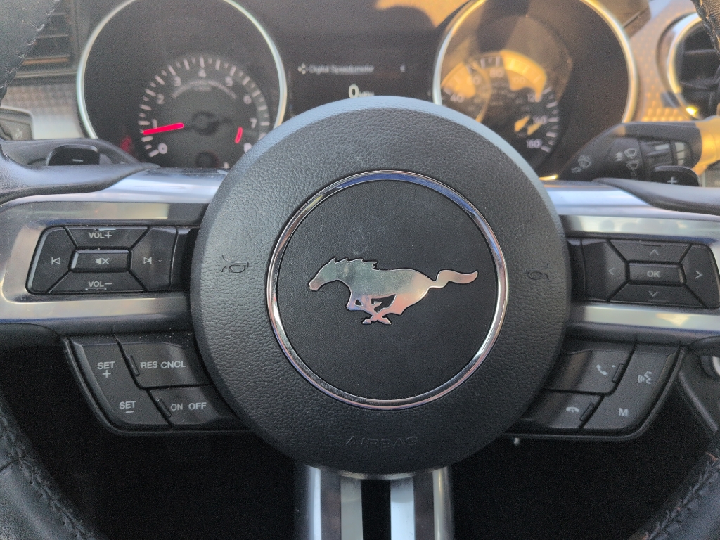 2020 Ford Mustang GT photo 10