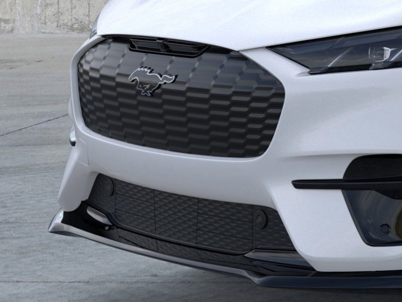 2025 Ford Mustang Mach-E GT photo 13