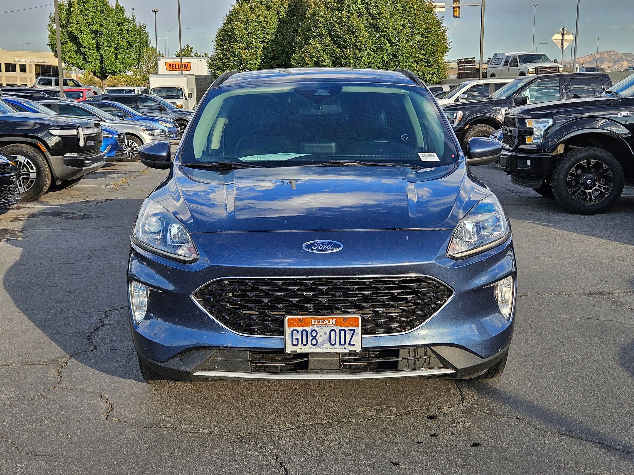 2020 Ford Escape SEL photo 8
