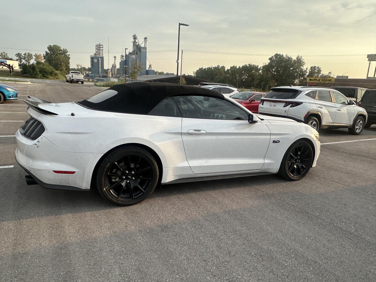 2017 Ford Mustang GT Premium photo 4