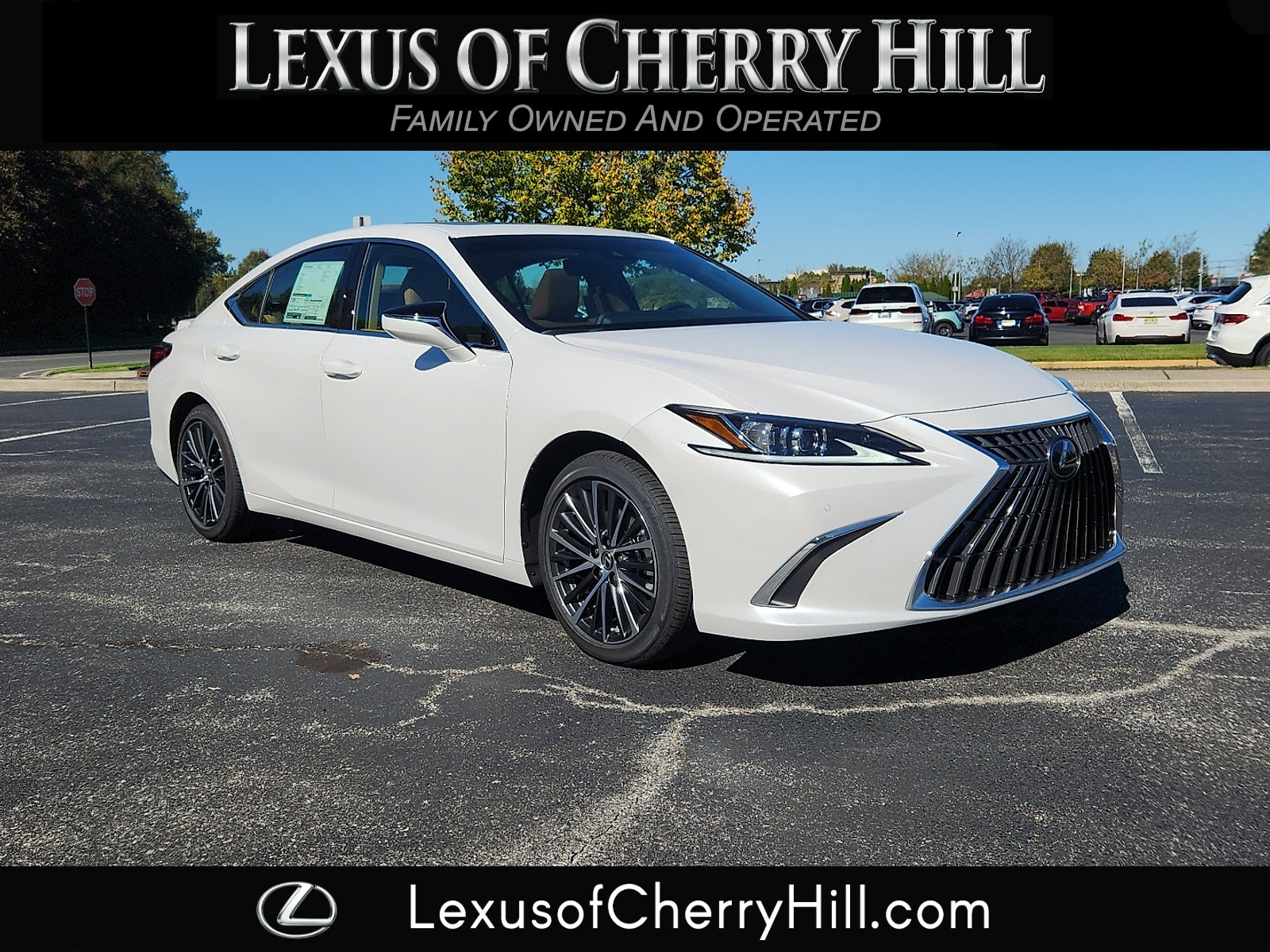 2025 Lexus ES 350's photo
