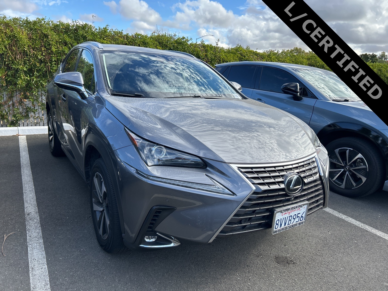 2021 Lexus NX