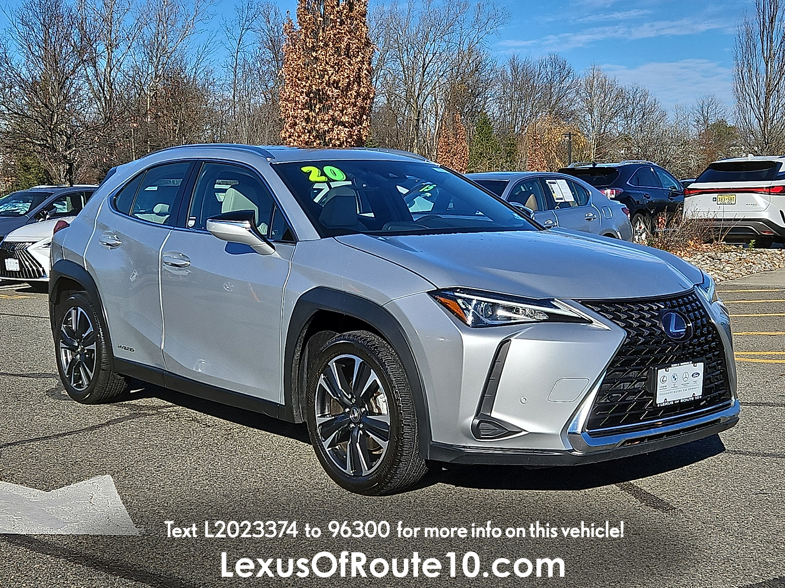2020 Lexus UX Hybrid 250h's photo