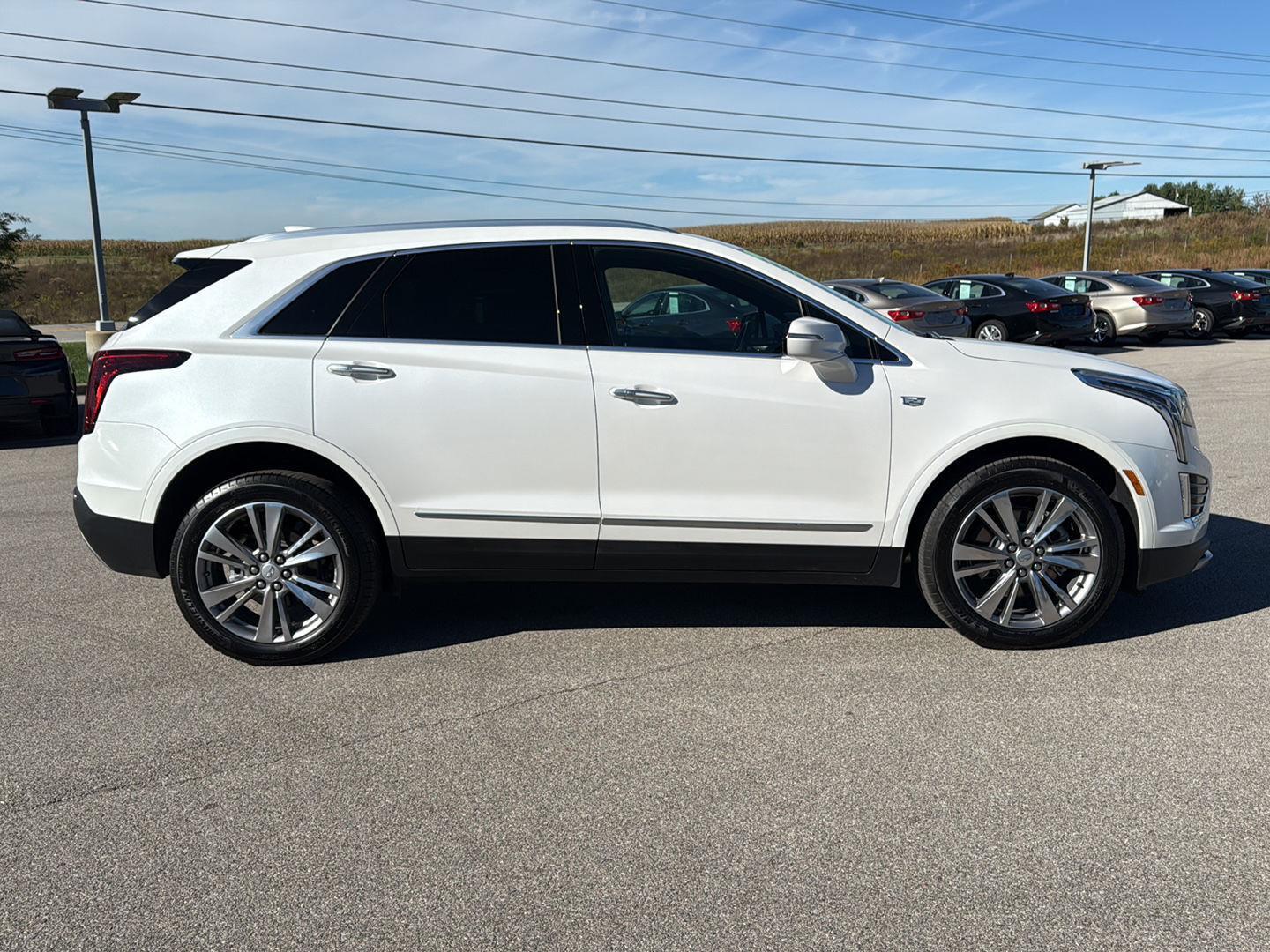 2025 Cadillac XT5 Premium Luxury photo 4