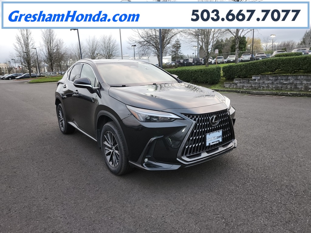 2024 Lexus NX Hybrid 350h's photo