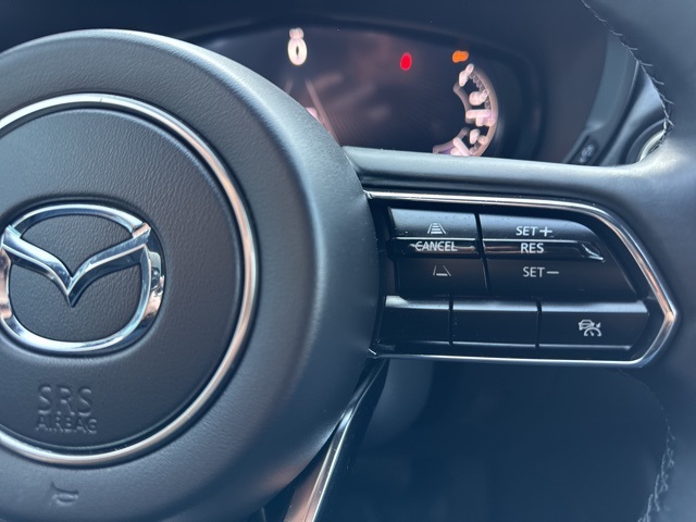 2024 Mazda CX-90 Premium Plus photo 11