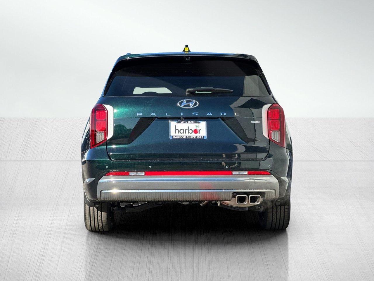 2025 Hyundai Palisade Calligraphy photo 3