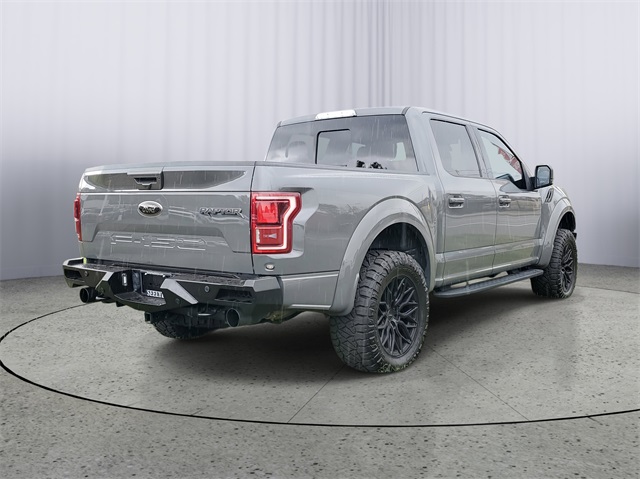 2018 Ford F-150 Raptor photo 3