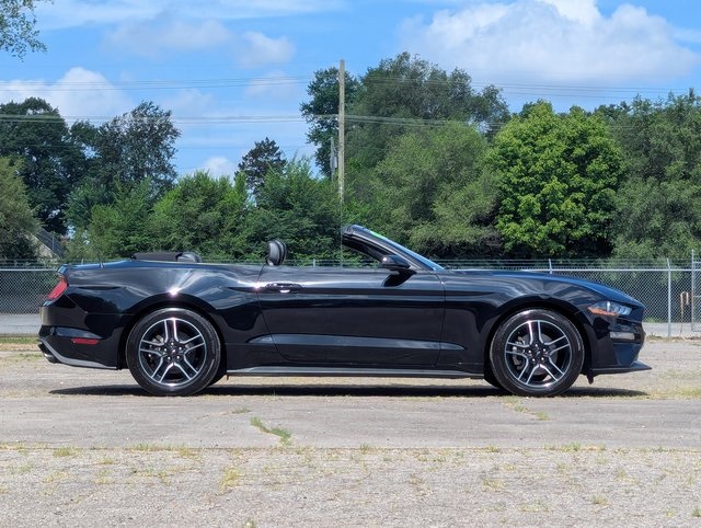 2023 Ford Mustang EcoBoost Premium photo 4