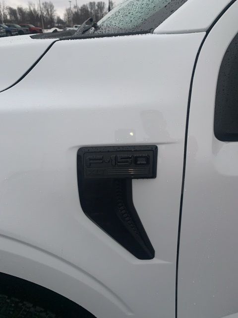 2025 Ford F-150 XLT photo 2