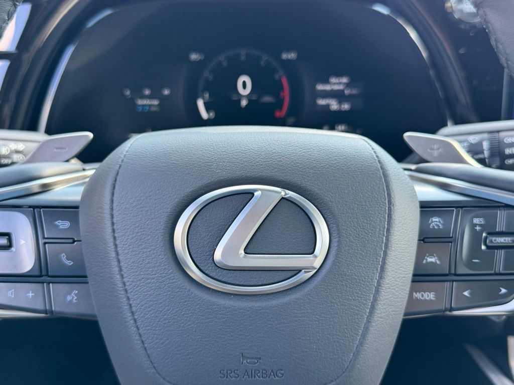 2025 Lexus RX 350 Premium AWD photo 23