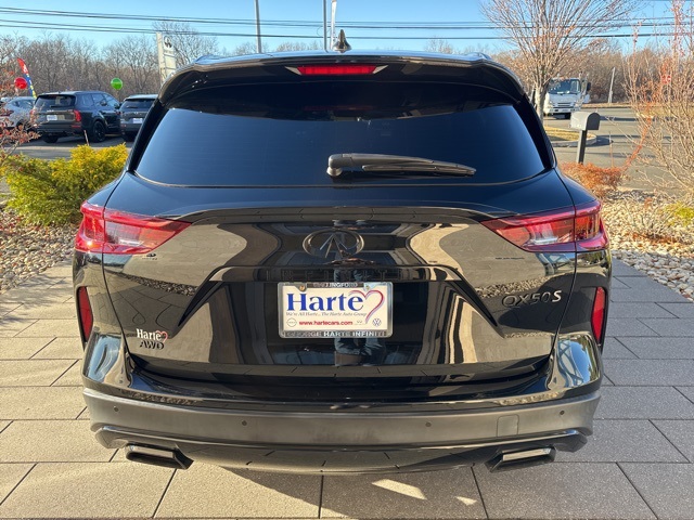 2023 Infiniti QX50 SPORT photo 4