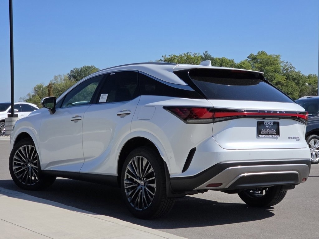 2025 Lexus RX 350h Luxury photo 22