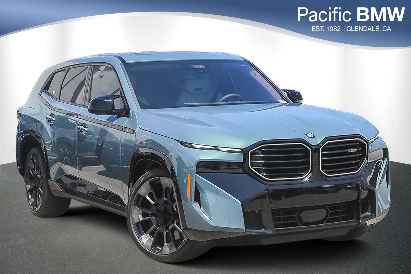 2025 BMW XM