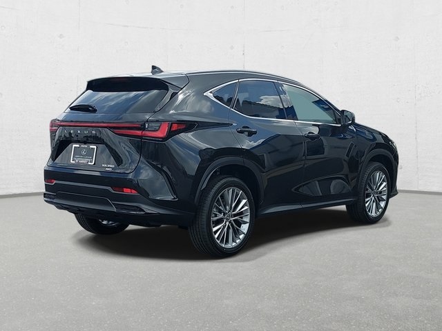 2025 Lexus NX 350 Luxury AWD photo 5