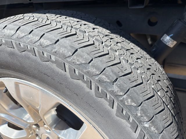 2021 Ford F-150 Platinum photo 3