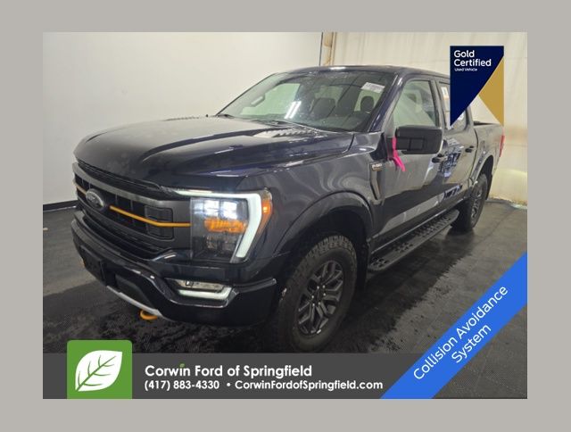 2022 Ford F-150 Tremor's photo