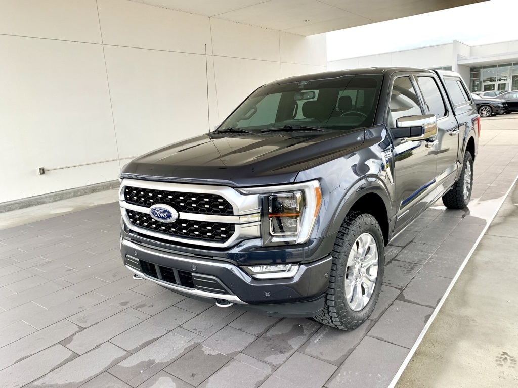2021 Ford F-150 Platinum's photo