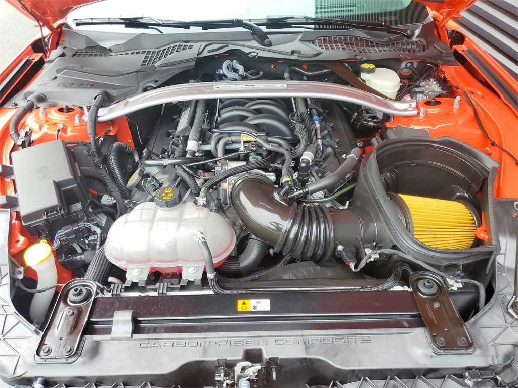 View 31