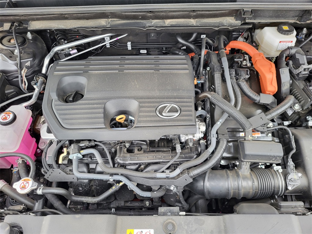2024 Lexus NX 350h Luxury photo 17