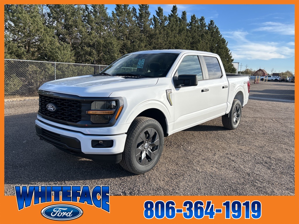 2025 Ford F-150 STX's photo