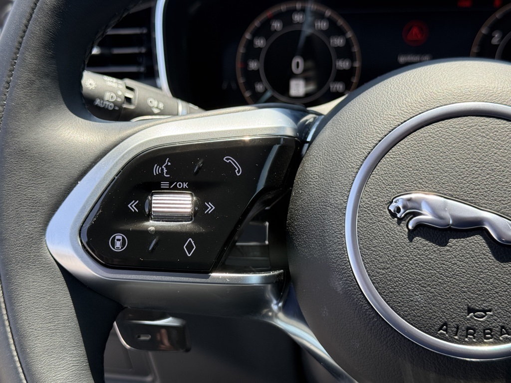 2025 Jaguar F-PACE P250 R-Dynamic S photo 17