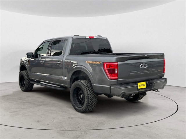 2023 Ford F-150 Tremor photo 3
