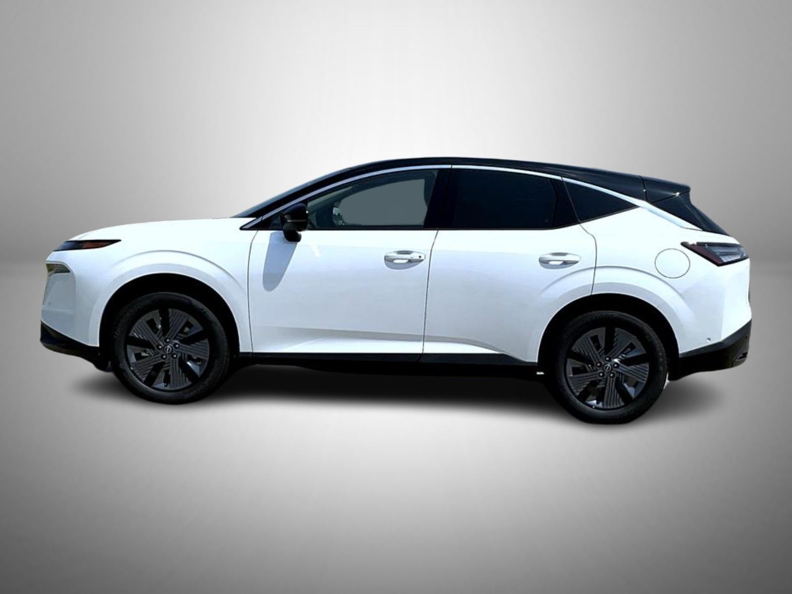 2025 Nissan Murano SL photo 5