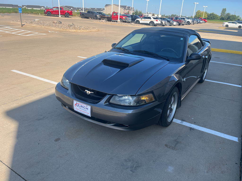 2004 Ford Mustang GT photo 3