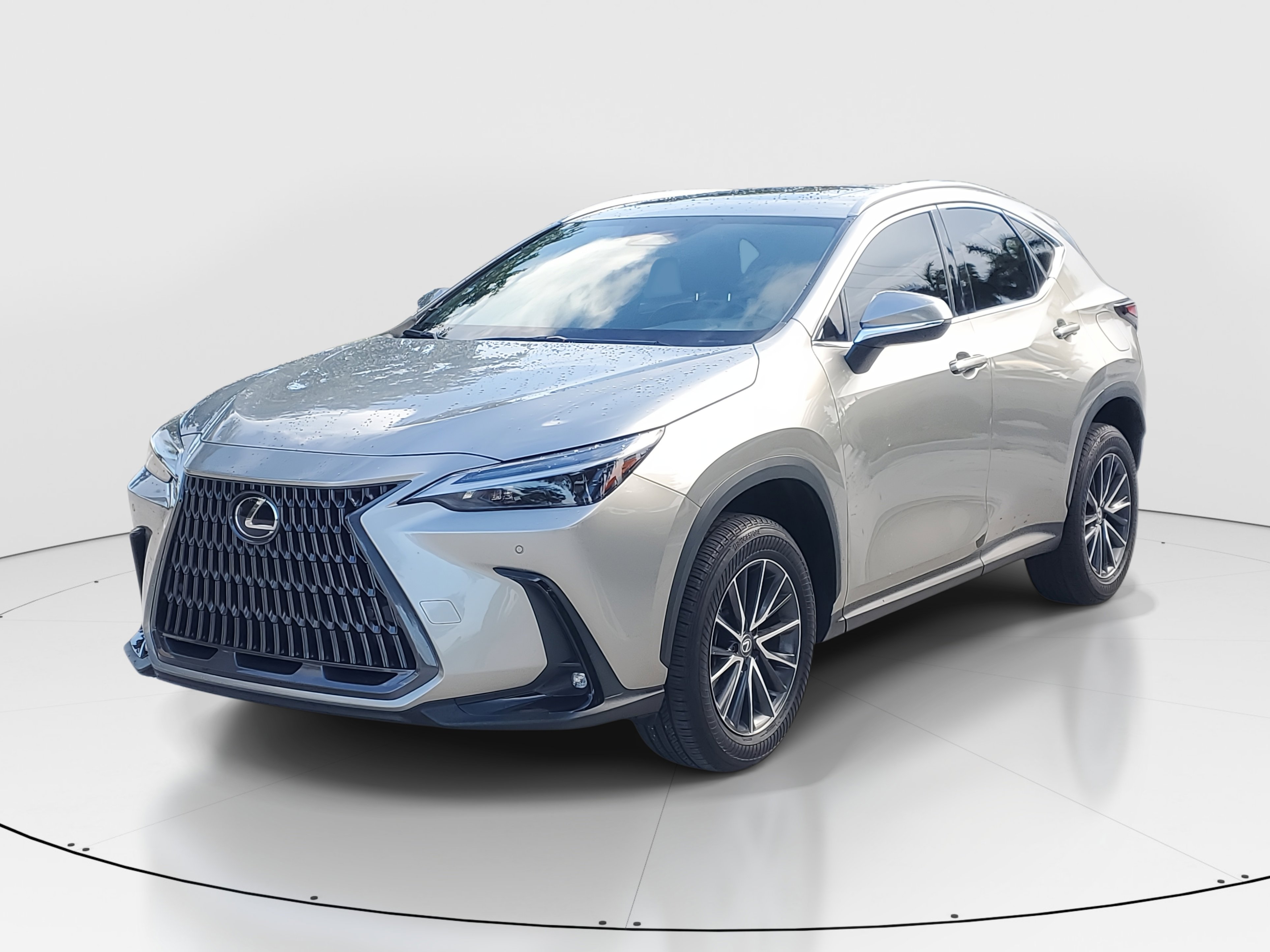 2024 Lexus NX 250 Premium photo 6