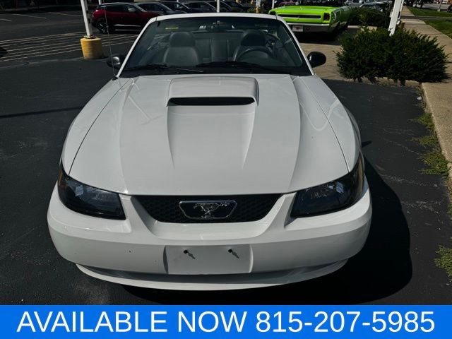 Image of Pre-Owned 2004 Ford Mustang GT