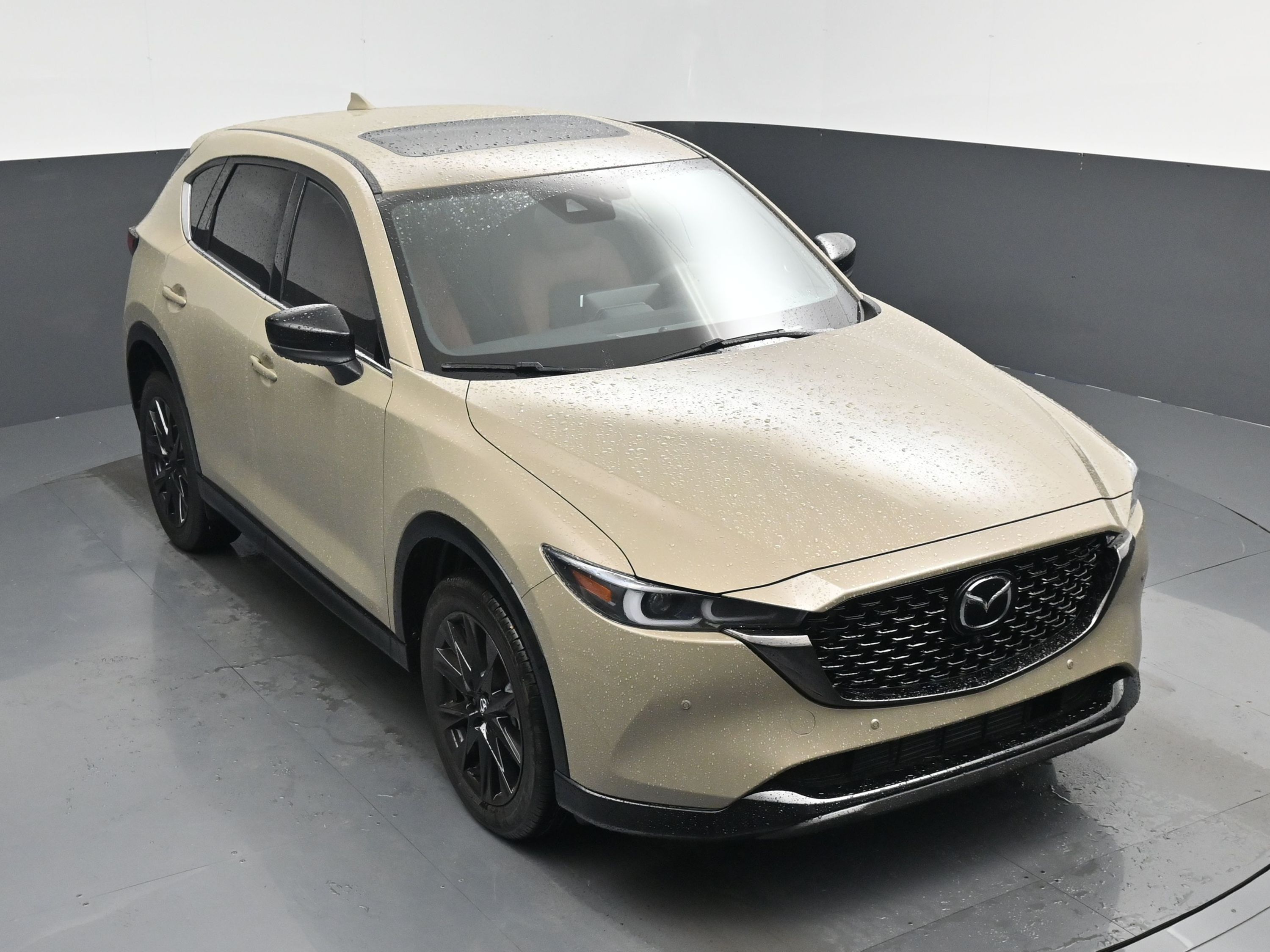 2025 Mazda CX-5 2.5 Carbon Turbo photo 40