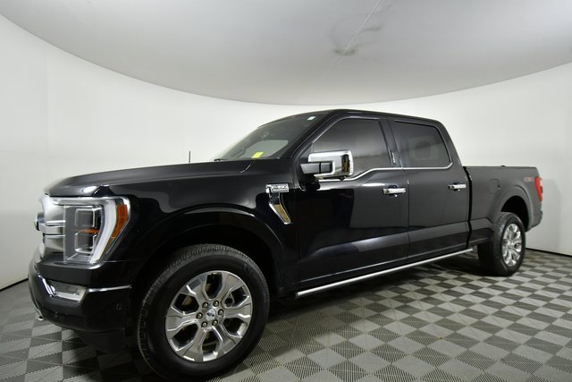 2021 Ford F-150 Platinum's photo