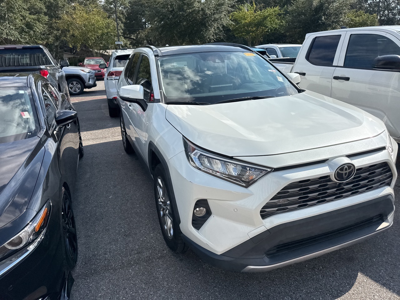 2019 Toyota RAV4 Limited photo 2