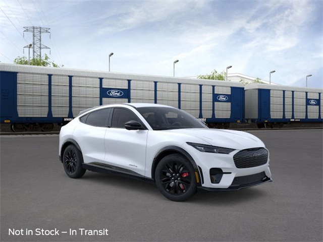 2025 Ford Mustang Mach-E Premium photo 3