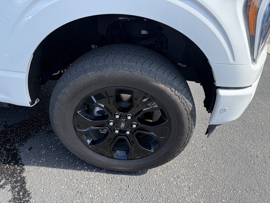 2023 Ford F-150 Platinum photo 18