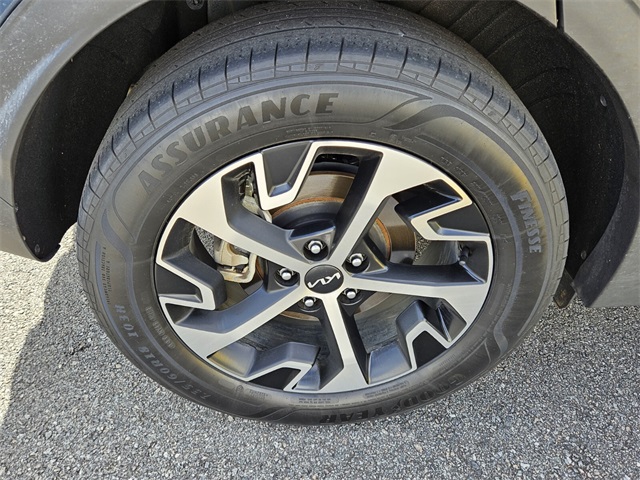 2023 Kia Sportage Hybrid EX photo 8