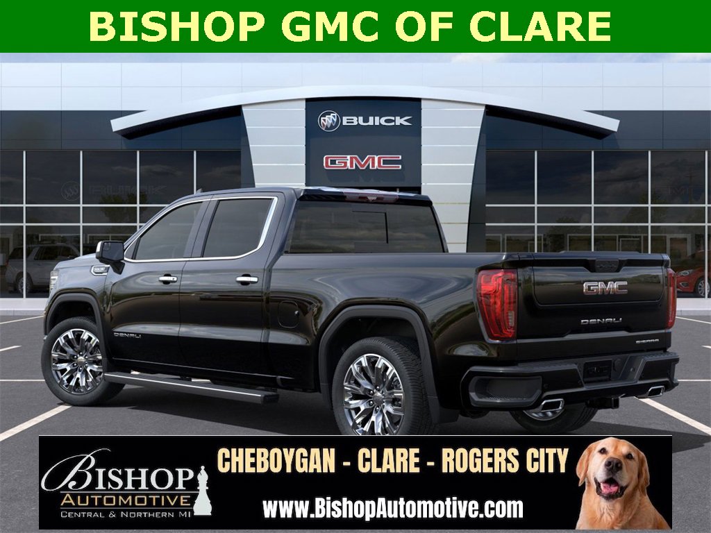 2025 Gmc Sierra 1500 Denali photo 5