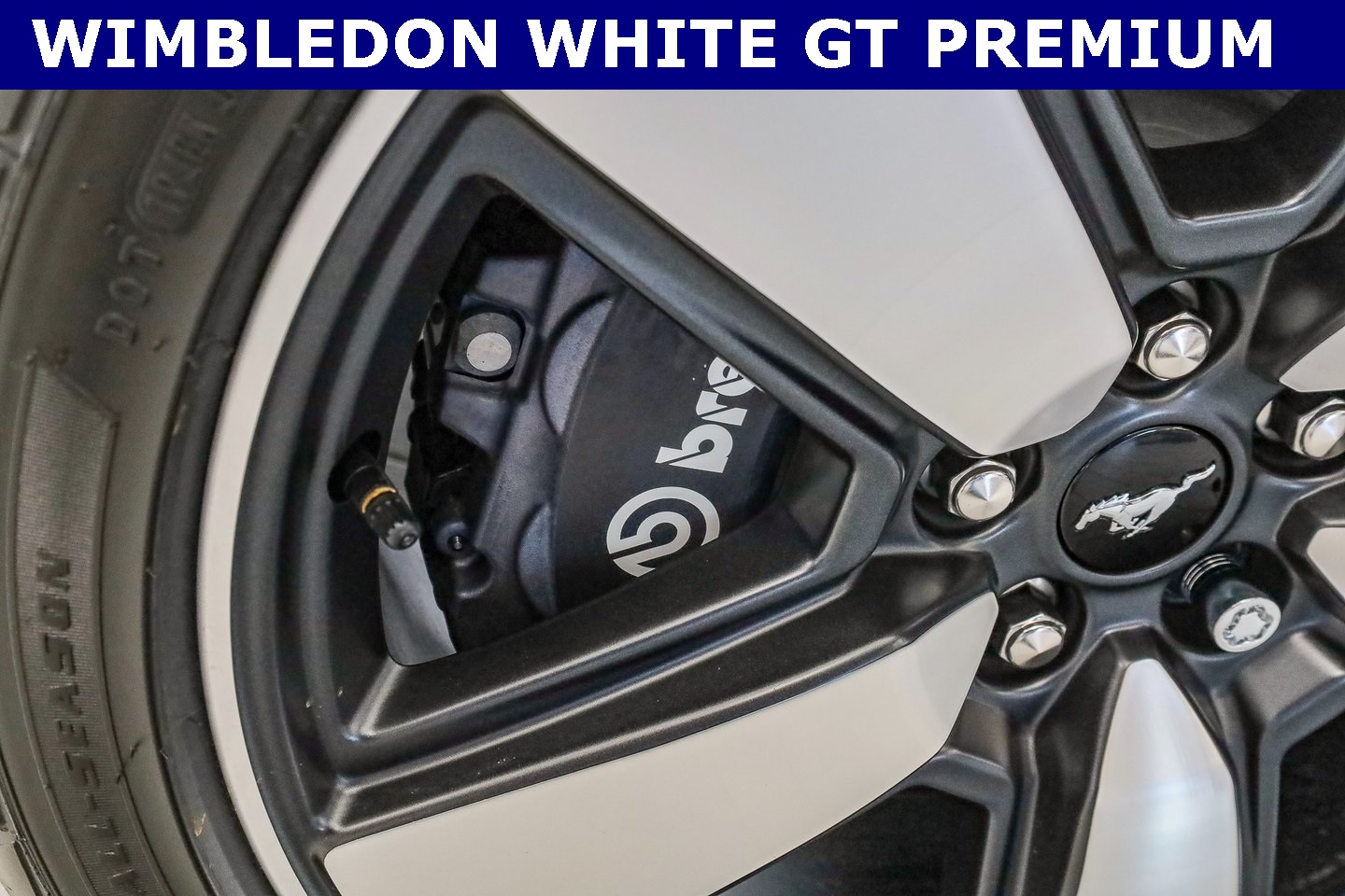 2025 Ford Mustang GT Premium photo 2