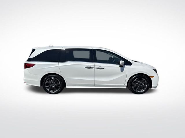 2023 Honda Odyssey Elite photo 4