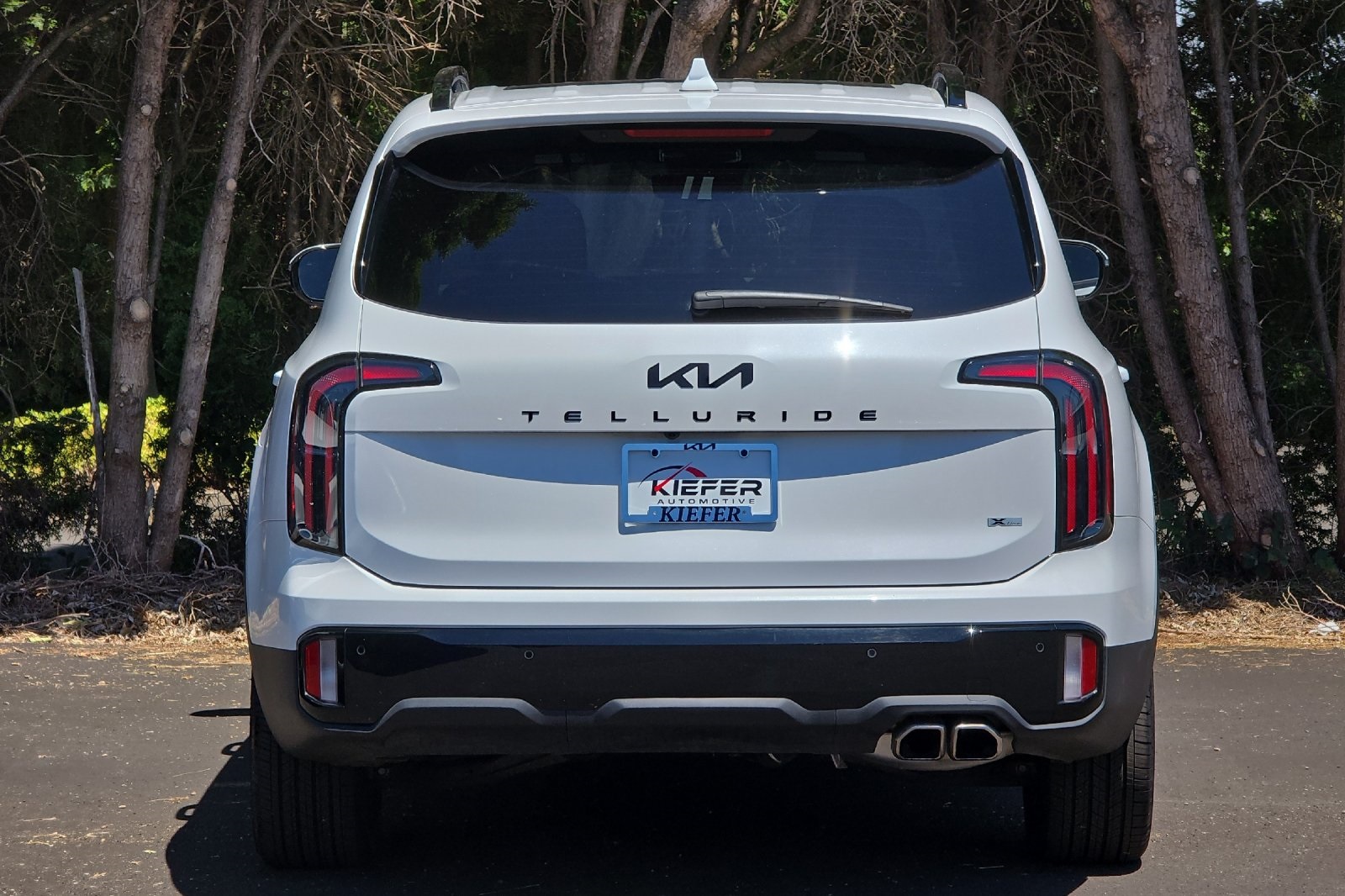 2025 Kia Telluride X-Line photo 3