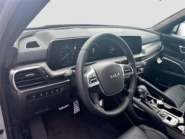 2025 Kia Telluride SX Prestige X-Line photo 6