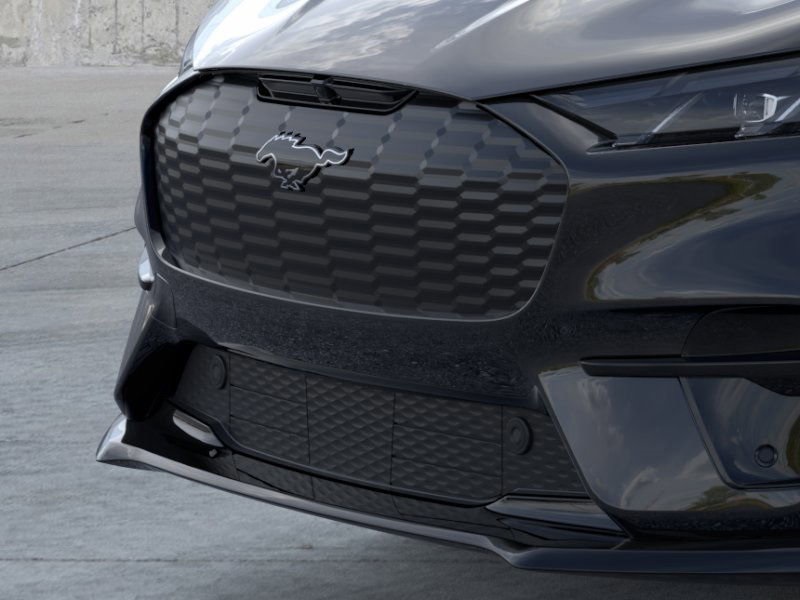 2025 Ford Mustang Mach-E Premium photo 15