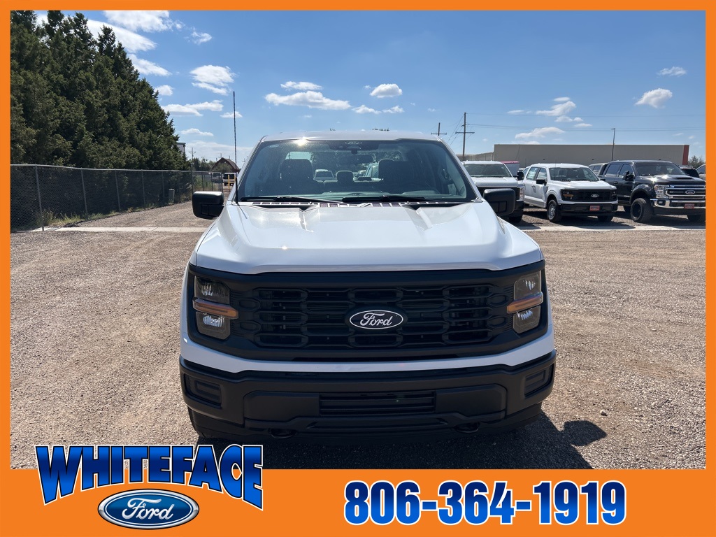2025 Ford F-150 XL photo 10