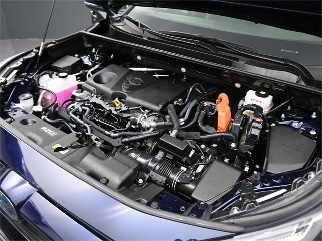 2023 Toyota RAV4 Hybrid XLE Premium photo 3