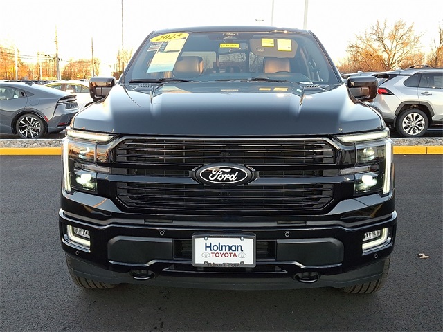 2025 Ford F-150 Platinum photo 3