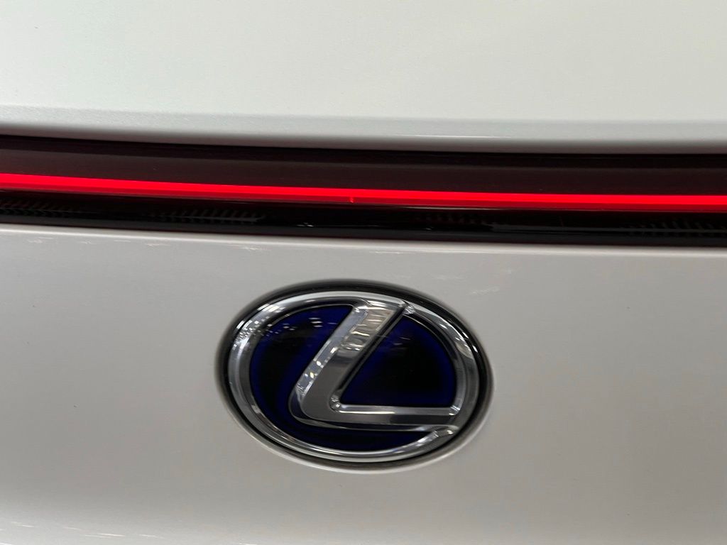 2021 Lexus UX 250h photo 10