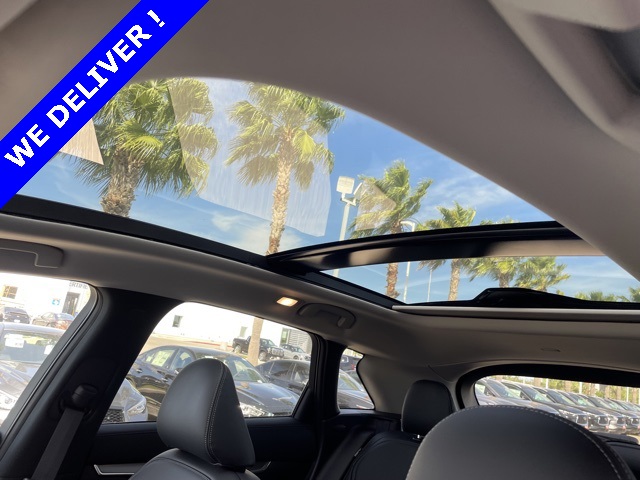 2024 Infiniti QX50 Luxe photo 11