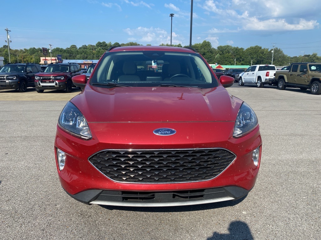 2020 Ford Escape SEL photo 2