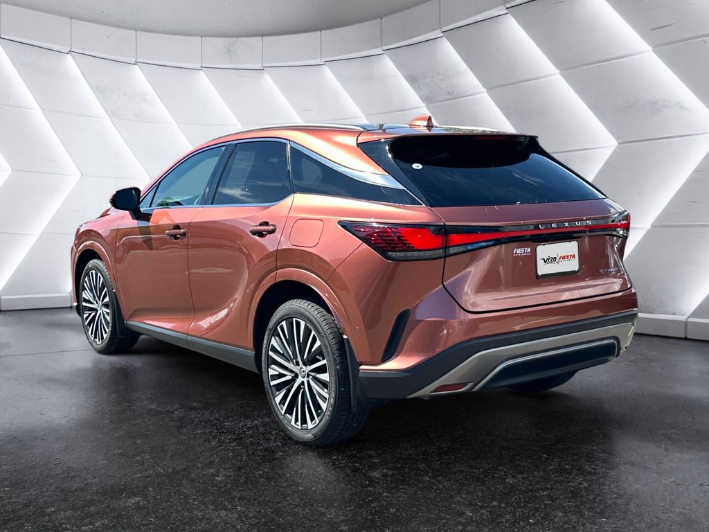 2023 Lexus RX 350 Luxury photo 6